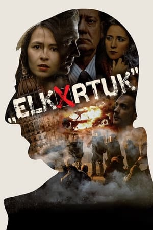 Elk*rtuk : The Cost of Deception