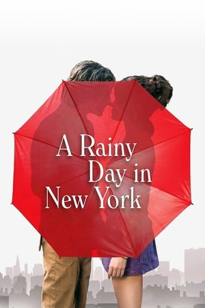 A Rainy Day in New York : Un día lluvioso en Nueva York