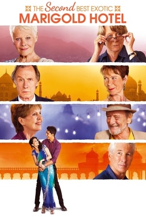 The Second Best Exotic Marigold Hotel : El exótico Hotel Marigold 2