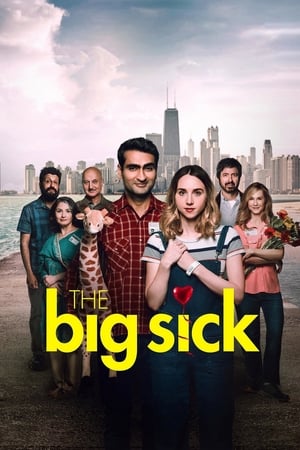 The Big Sick : Un amor inseparable