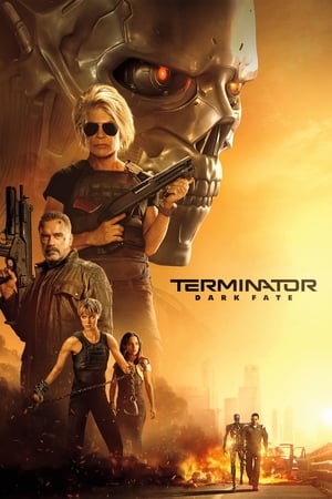 Terminator: Dark Fate : Terminator: Destino oculto