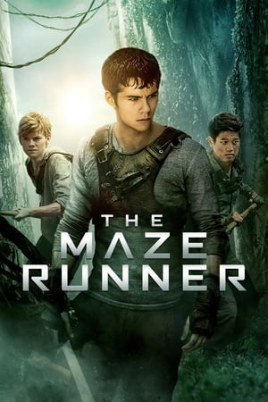 The Maze Runner : Vrapuesi i Labirintit