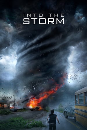 Into the Storm : En el tornado